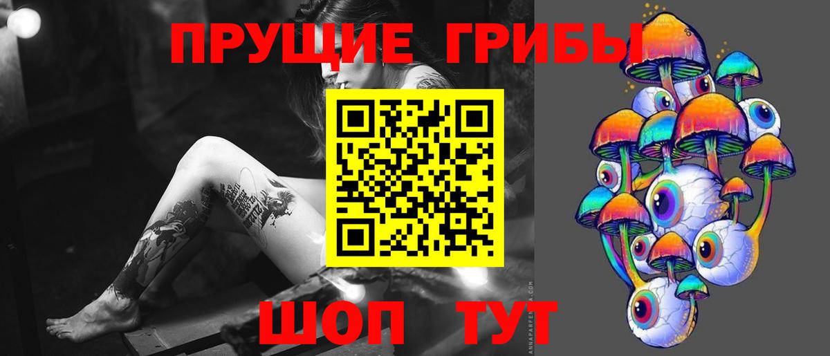 Изобильный  где найти   Вход с VPN  Галлюциногенные грибы Cubensis 