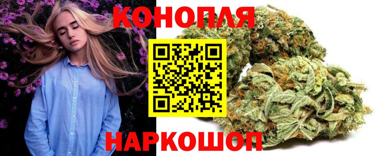 Канабис MAZAR Изобильный